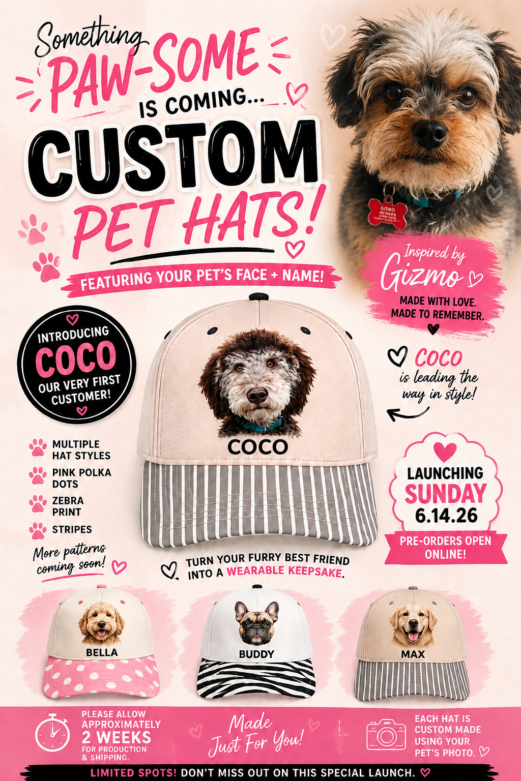 Customized Pet Hats Pre order