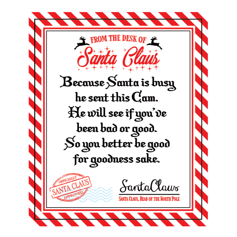 Christmas Santa Cam Night Light ready to ship