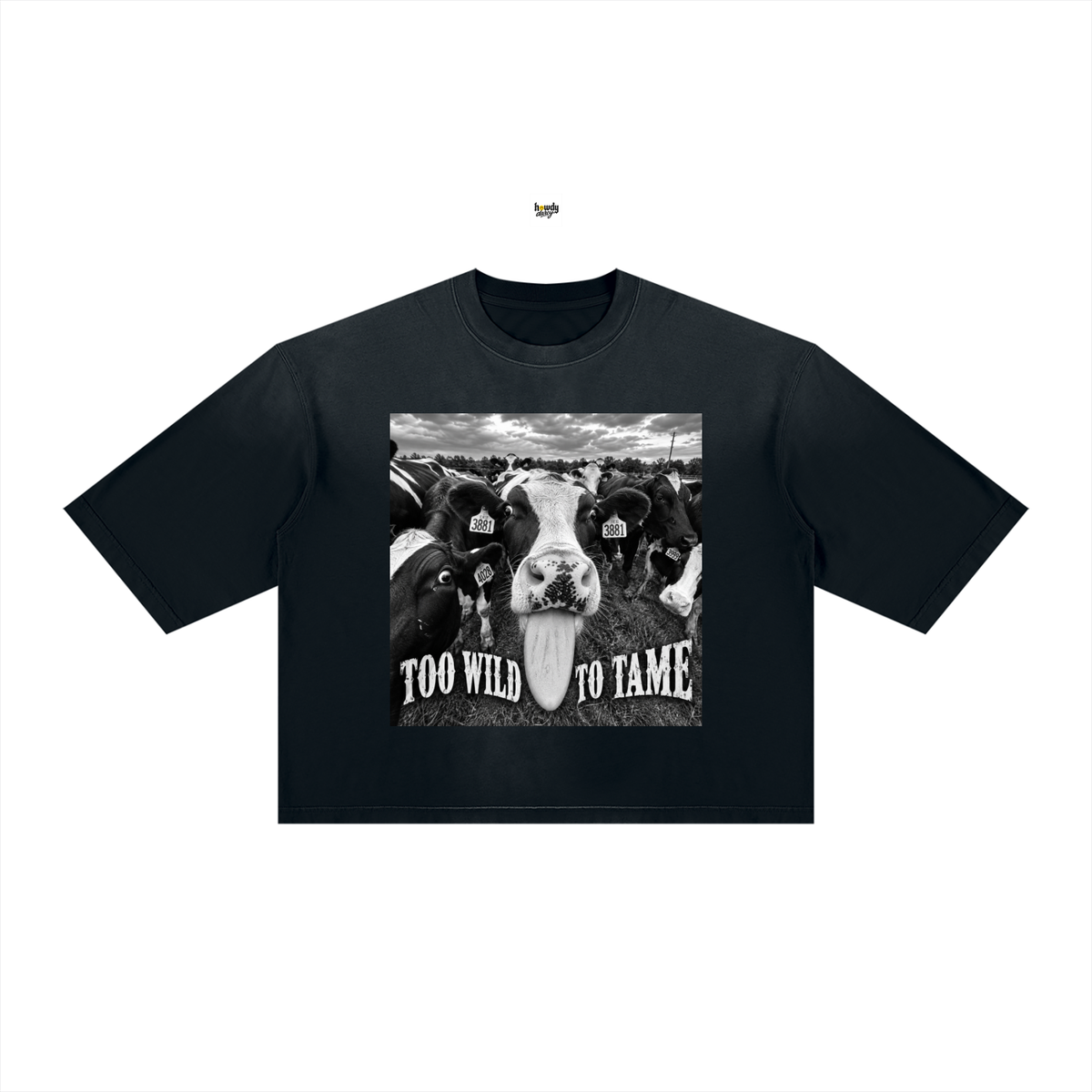 Unisex Vintage Wash Sunfade Boxy T-Shirt