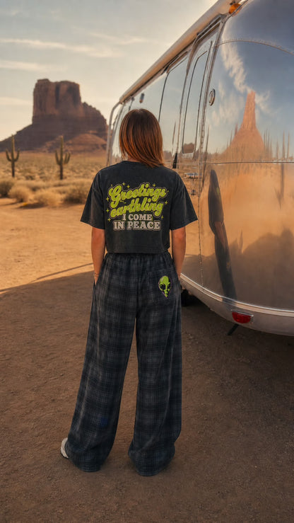 Greetings Earthling I come in Peace Alien Crop Tee