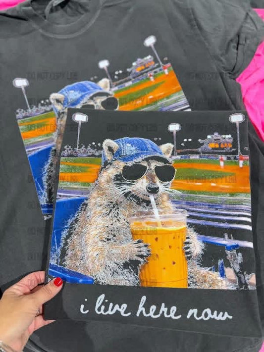 Raccoon baseball tee pre order